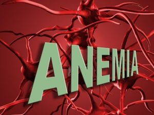 ANEMIA FERROPRIVA: COMO COMBATER?