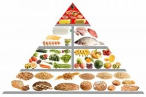 Pirâmide Alimentar Brasileira Pdf Atualizada