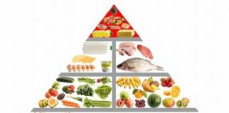pirâmide alimentar brasileira