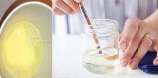Teste de gravidez caseiro com agua sanitaria