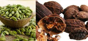 Cardamomo: Como Usar, Benefícios,Receita Que Emagrece