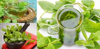 chá verde beneficios para a pele
