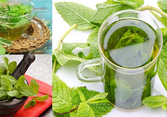 chá verde beneficios para a pele