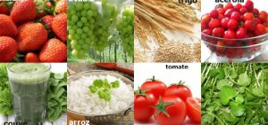 Entenda o que são os Antioxidantes, Qual a sua Utilidade, Onde Podemos Encontrar nos Alimentos.