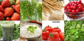 alimentos antioxidantes para emagrecer