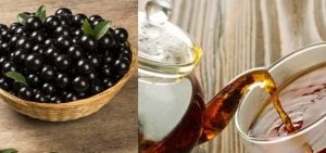Chá de Jabuticaba: Para Que Serve e Como Fazer