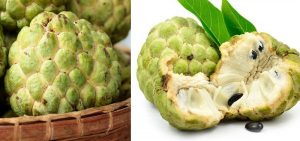 Os Benefícios da Fruta do Conde
