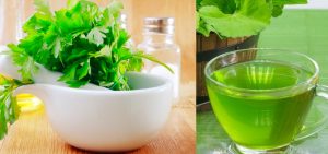Chá de Salsa: Benefícios,Indicação e Dicas