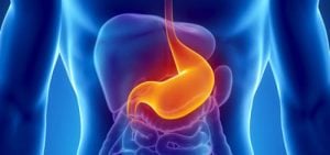 Endoscopia: Para que Serve e Como Funciona.