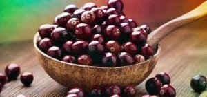 Açaí: conheça os principais benefícios para a saúde.