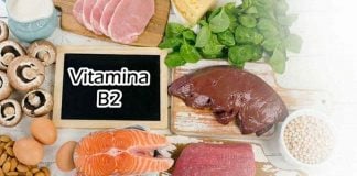 alimentos fonte de vitamina b2