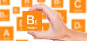 Vitamina b5: para que serve, onde encontrar nos alimentos