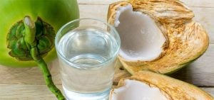 Benefícios do coco seco e verde para a saúde