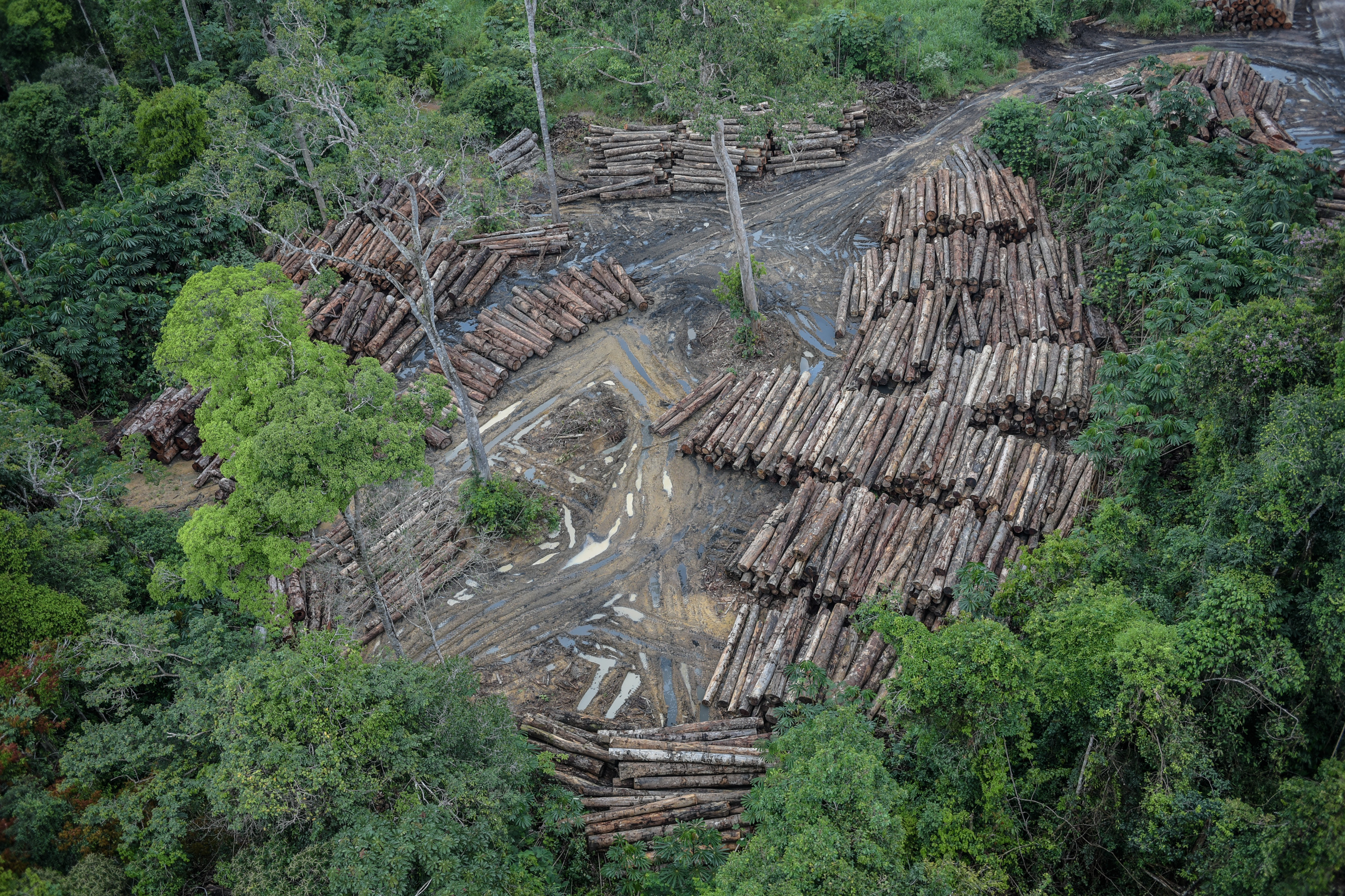 Desmatamento na Amazônia tem maior crescimento desde 2008
